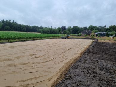 Paardenbak Feline de Jonge